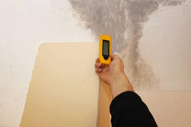 Best Mold Prevention Services  in Red Hill, SC