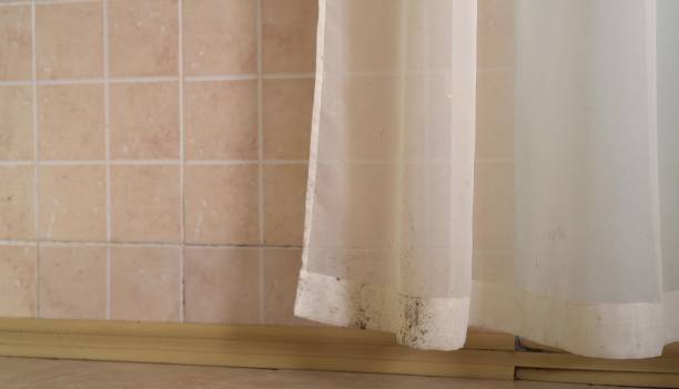 Best Residential Mold Inspection & Testing  in Red Hill, SC