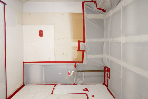 Best Air Quality Testing for Mold Spores  in Red Hill, SC
