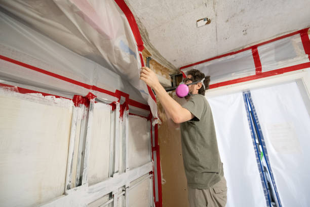 Environmental Consulting for Mold Prevention in Red Hill, SC
