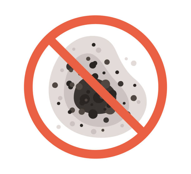 Best Mold Removal for HVAC Installations  in Red Hill, SC