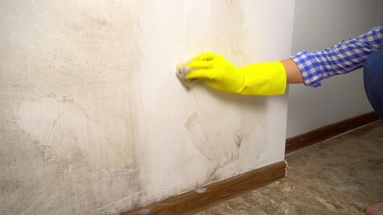 Best Water Damage & Mold Remediation  in Red Hill, SC
