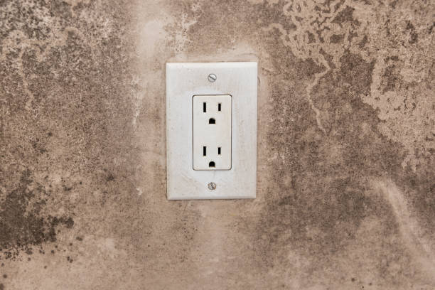 Dehumidification Services in Red Hill, SC